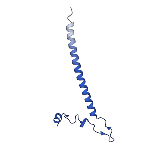 12870_7of5_j_v1-2
Structure of a human mitochondrial ribosome large subunit assembly intermediate in complex with MTERF4-NSUN4 and GTPBP5 (dataset2).