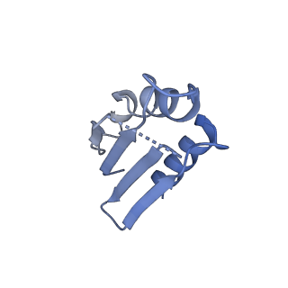 12870_7of5_k_v1-2
Structure of a human mitochondrial ribosome large subunit assembly intermediate in complex with MTERF4-NSUN4 and GTPBP5 (dataset2).