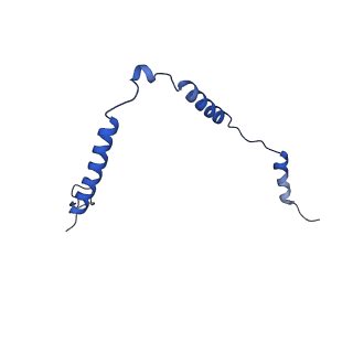 12870_7of5_o_v1-2
Structure of a human mitochondrial ribosome large subunit assembly intermediate in complex with MTERF4-NSUN4 and GTPBP5 (dataset2).