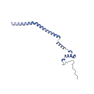12870_7of5_q_v1-2
Structure of a human mitochondrial ribosome large subunit assembly intermediate in complex with MTERF4-NSUN4 and GTPBP5 (dataset2).