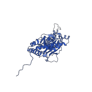 12870_7of5_s_v1-2
Structure of a human mitochondrial ribosome large subunit assembly intermediate in complex with MTERF4-NSUN4 and GTPBP5 (dataset2).