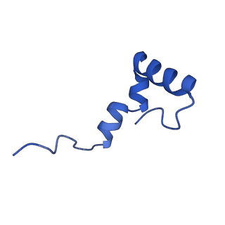 12871_7of6_2_v1-2
Structure of mature human mitochondrial ribosome large subunit in complex with GTPBP6 (PTC conformation 2).