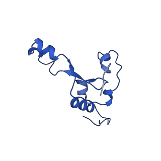 12871_7of6_3_v1-2
Structure of mature human mitochondrial ribosome large subunit in complex with GTPBP6 (PTC conformation 2).