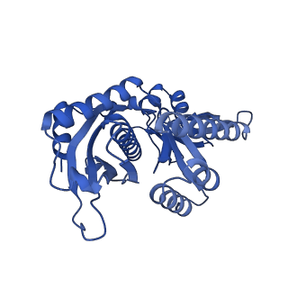 12871_7of6_7_v1-2
Structure of mature human mitochondrial ribosome large subunit in complex with GTPBP6 (PTC conformation 2).
