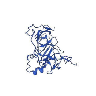 12871_7of6_D_v1-2
Structure of mature human mitochondrial ribosome large subunit in complex with GTPBP6 (PTC conformation 2).