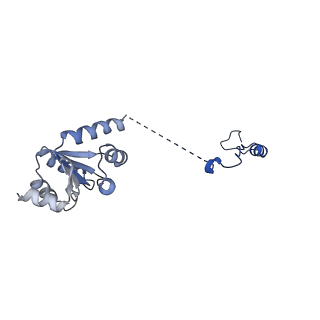 12871_7of6_I_v1-2
Structure of mature human mitochondrial ribosome large subunit in complex with GTPBP6 (PTC conformation 2).