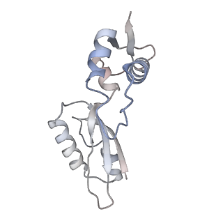 12871_7of6_J_v1-2
Structure of mature human mitochondrial ribosome large subunit in complex with GTPBP6 (PTC conformation 2).