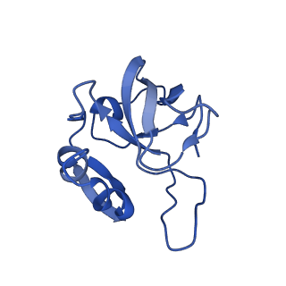 12871_7of6_L_v1-2
Structure of mature human mitochondrial ribosome large subunit in complex with GTPBP6 (PTC conformation 2).