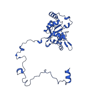 12871_7of6_M_v1-2
Structure of mature human mitochondrial ribosome large subunit in complex with GTPBP6 (PTC conformation 2).