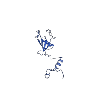 12871_7of6_U_v1-2
Structure of mature human mitochondrial ribosome large subunit in complex with GTPBP6 (PTC conformation 2).