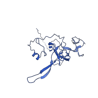 12871_7of6_V_v1-2
Structure of mature human mitochondrial ribosome large subunit in complex with GTPBP6 (PTC conformation 2).