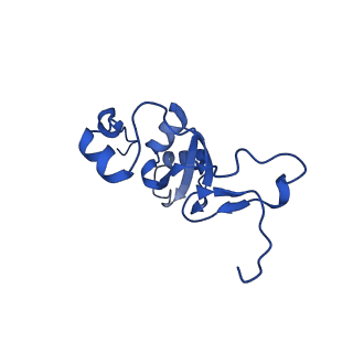 12871_7of6_Z_v1-2
Structure of mature human mitochondrial ribosome large subunit in complex with GTPBP6 (PTC conformation 2).