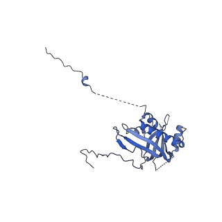 12871_7of6_d_v1-2
Structure of mature human mitochondrial ribosome large subunit in complex with GTPBP6 (PTC conformation 2).