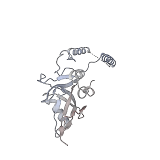12871_7of6_e_v1-2
Structure of mature human mitochondrial ribosome large subunit in complex with GTPBP6 (PTC conformation 2).
