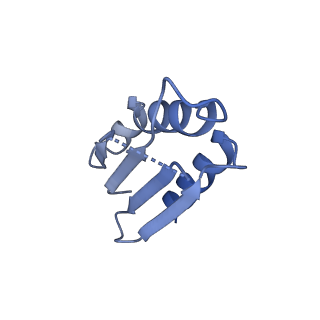12871_7of6_k_v1-2
Structure of mature human mitochondrial ribosome large subunit in complex with GTPBP6 (PTC conformation 2).