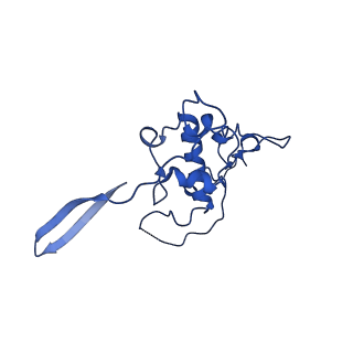 12871_7of6_r_v1-2
Structure of mature human mitochondrial ribosome large subunit in complex with GTPBP6 (PTC conformation 2).