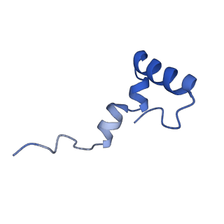 12872_7of7_2_v1-1
Structure of a human mitochondrial ribosome large subunit assembly intermediate in complex with MTERF4-NSUN4 and GTPBP5 (dataset1).