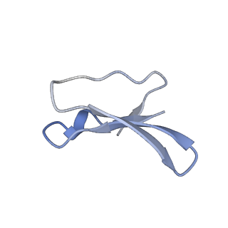 12872_7of7_4_v1-1
Structure of a human mitochondrial ribosome large subunit assembly intermediate in complex with MTERF4-NSUN4 and GTPBP5 (dataset1).