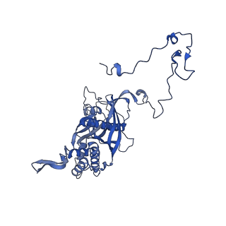 12872_7of7_5_v1-1
Structure of a human mitochondrial ribosome large subunit assembly intermediate in complex with MTERF4-NSUN4 and GTPBP5 (dataset1).
