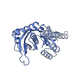 12872_7of7_7_v1-1
Structure of a human mitochondrial ribosome large subunit assembly intermediate in complex with MTERF4-NSUN4 and GTPBP5 (dataset1).