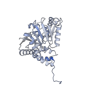 12872_7of7_C_v1-1
Structure of a human mitochondrial ribosome large subunit assembly intermediate in complex with MTERF4-NSUN4 and GTPBP5 (dataset1).