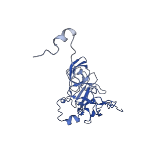 12872_7of7_D_v1-1
Structure of a human mitochondrial ribosome large subunit assembly intermediate in complex with MTERF4-NSUN4 and GTPBP5 (dataset1).