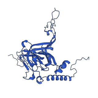 12872_7of7_E_v1-1
Structure of a human mitochondrial ribosome large subunit assembly intermediate in complex with MTERF4-NSUN4 and GTPBP5 (dataset1).