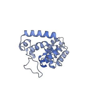 12872_7of7_G_v1-1
Structure of a human mitochondrial ribosome large subunit assembly intermediate in complex with MTERF4-NSUN4 and GTPBP5 (dataset1).