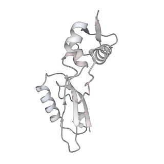 12872_7of7_J_v1-1
Structure of a human mitochondrial ribosome large subunit assembly intermediate in complex with MTERF4-NSUN4 and GTPBP5 (dataset1).