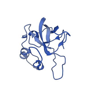 12872_7of7_L_v1-1
Structure of a human mitochondrial ribosome large subunit assembly intermediate in complex with MTERF4-NSUN4 and GTPBP5 (dataset1).