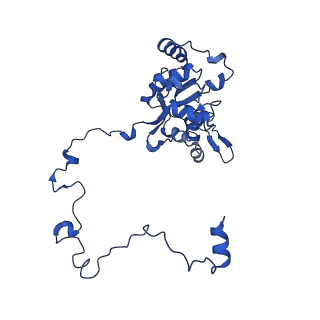 12872_7of7_M_v1-1
Structure of a human mitochondrial ribosome large subunit assembly intermediate in complex with MTERF4-NSUN4 and GTPBP5 (dataset1).