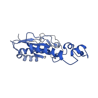 12872_7of7_N_v1-1
Structure of a human mitochondrial ribosome large subunit assembly intermediate in complex with MTERF4-NSUN4 and GTPBP5 (dataset1).