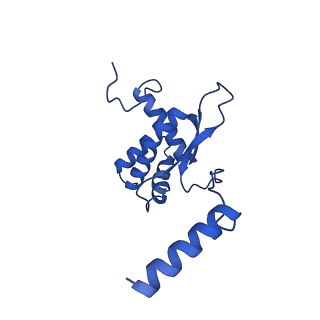 12872_7of7_O_v1-1
Structure of a human mitochondrial ribosome large subunit assembly intermediate in complex with MTERF4-NSUN4 and GTPBP5 (dataset1).