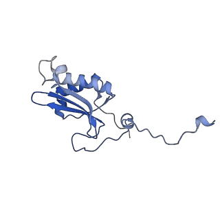 12872_7of7_P_v1-1
Structure of a human mitochondrial ribosome large subunit assembly intermediate in complex with MTERF4-NSUN4 and GTPBP5 (dataset1).