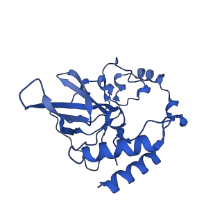 12872_7of7_Q_v1-1
Structure of a human mitochondrial ribosome large subunit assembly intermediate in complex with MTERF4-NSUN4 and GTPBP5 (dataset1).