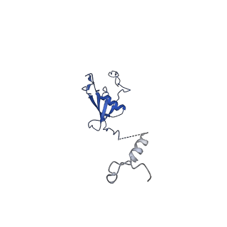 12872_7of7_U_v1-1
Structure of a human mitochondrial ribosome large subunit assembly intermediate in complex with MTERF4-NSUN4 and GTPBP5 (dataset1).
