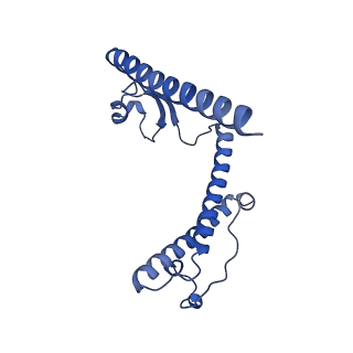 12872_7of7_Y_v1-1
Structure of a human mitochondrial ribosome large subunit assembly intermediate in complex with MTERF4-NSUN4 and GTPBP5 (dataset1).