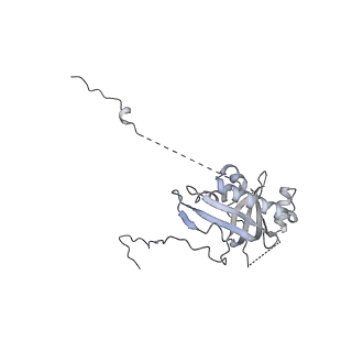 12872_7of7_d_v1-1
Structure of a human mitochondrial ribosome large subunit assembly intermediate in complex with MTERF4-NSUN4 and GTPBP5 (dataset1).
