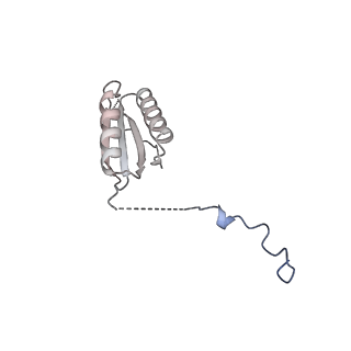 12872_7of7_f_v1-1
Structure of a human mitochondrial ribosome large subunit assembly intermediate in complex with MTERF4-NSUN4 and GTPBP5 (dataset1).