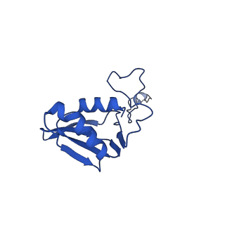 12872_7of7_g_v1-1
Structure of a human mitochondrial ribosome large subunit assembly intermediate in complex with MTERF4-NSUN4 and GTPBP5 (dataset1).