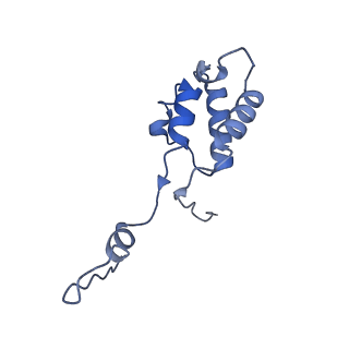 12872_7of7_h_v1-1
Structure of a human mitochondrial ribosome large subunit assembly intermediate in complex with MTERF4-NSUN4 and GTPBP5 (dataset1).