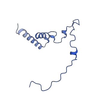 12872_7of7_i_v1-1
Structure of a human mitochondrial ribosome large subunit assembly intermediate in complex with MTERF4-NSUN4 and GTPBP5 (dataset1).