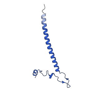 12872_7of7_j_v1-1
Structure of a human mitochondrial ribosome large subunit assembly intermediate in complex with MTERF4-NSUN4 and GTPBP5 (dataset1).