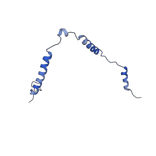 12872_7of7_o_v1-1
Structure of a human mitochondrial ribosome large subunit assembly intermediate in complex with MTERF4-NSUN4 and GTPBP5 (dataset1).