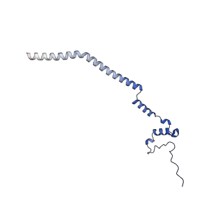 12872_7of7_q_v1-1
Structure of a human mitochondrial ribosome large subunit assembly intermediate in complex with MTERF4-NSUN4 and GTPBP5 (dataset1).