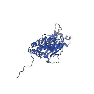 12872_7of7_s_v1-1
Structure of a human mitochondrial ribosome large subunit assembly intermediate in complex with MTERF4-NSUN4 and GTPBP5 (dataset1).
