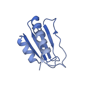 12872_7of7_u_v1-1
Structure of a human mitochondrial ribosome large subunit assembly intermediate in complex with MTERF4-NSUN4 and GTPBP5 (dataset1).