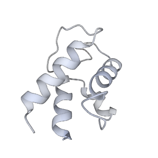 12872_7of7_w_v1-1
Structure of a human mitochondrial ribosome large subunit assembly intermediate in complex with MTERF4-NSUN4 and GTPBP5 (dataset1).