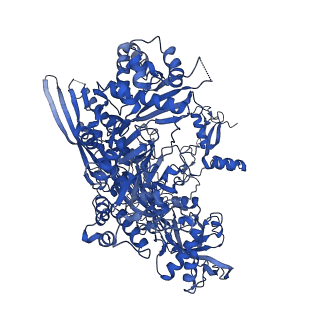 16840_8of0_B_v1-2
Structure of the mammalian Pol II-SPT6-Elongin complex, Structure 1