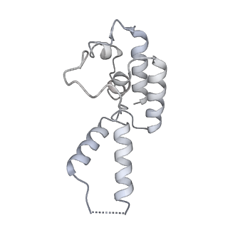 16840_8of0_D_v1-2
Structure of the mammalian Pol II-SPT6-Elongin complex, Structure 1